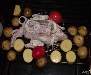 Step 5