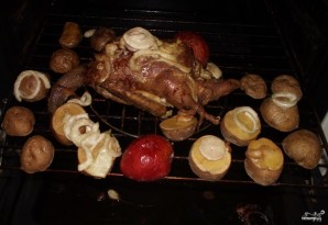 Step 6