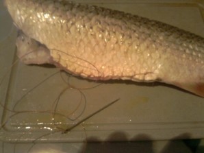 Step 4