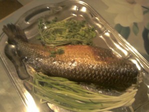 Step 6