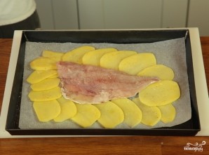 Step 2