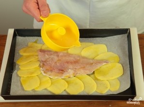Step 4