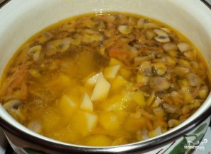 Step 5