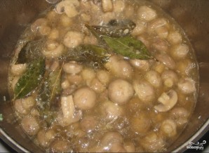 Step 2