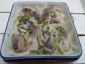 Step 5