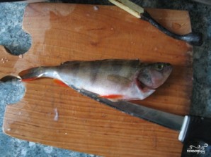 Step 3