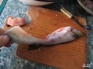 Step 5
