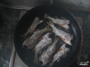 Step 7