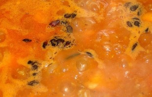 Step 4