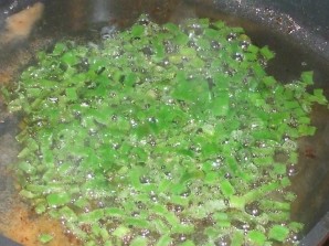 Step 5