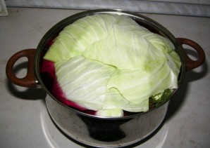 Step 6