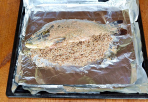 Step 6