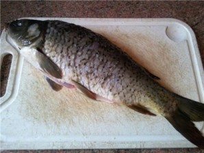 Step 6