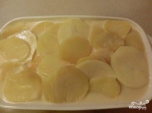 Step 5