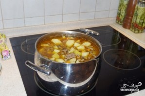 Step 6