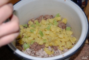 Step 15