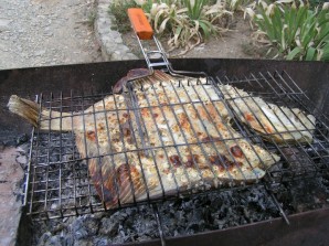 Step 4