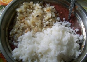 Step 5
