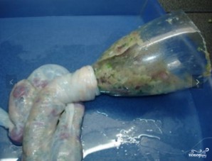Step 5