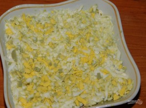 Step 5