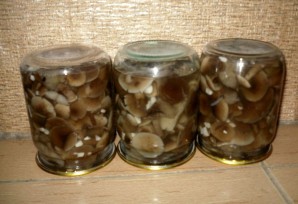 Крок 10