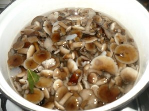 Крок 6