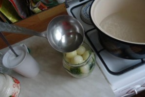 Step 6