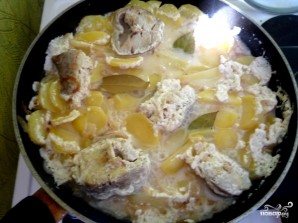 Step 7