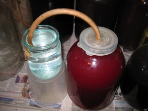 Step 8