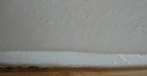 Step 7