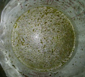Step 2