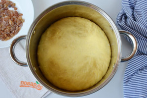 Step 7