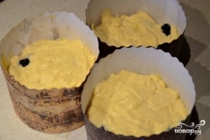 Step 8