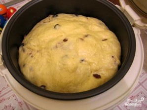 Step 11