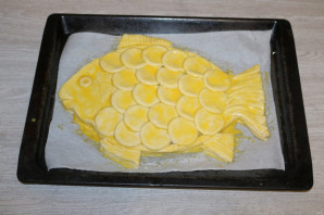 Step 15