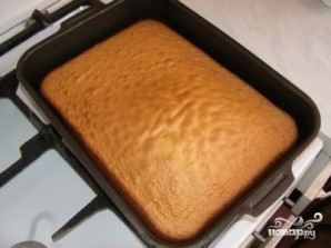 Step 5
