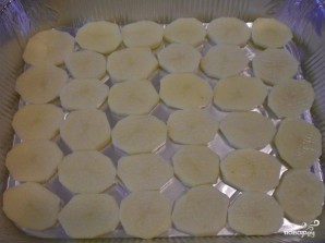 Step 7