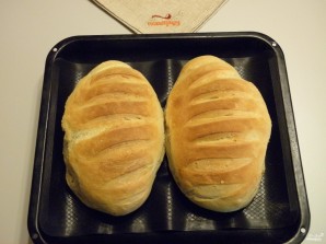 Step 11