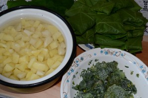 Step 7
