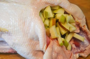 Step 5
