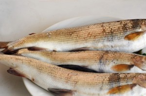Крок 1