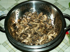 Step 5