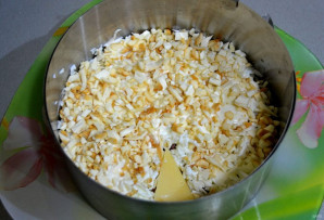 Step 9