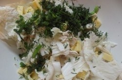 Step 6