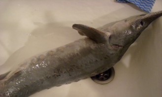 Шаг 1