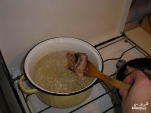 Step 5