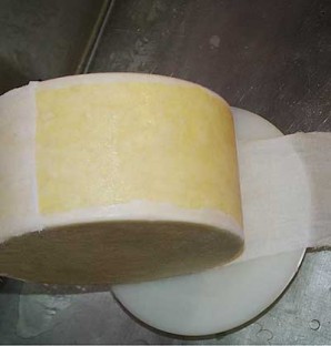 Step 11