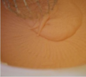 Step 9