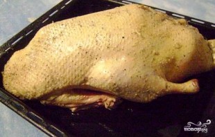 Step 7