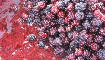 Крок 3